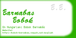 barnabas bobok business card